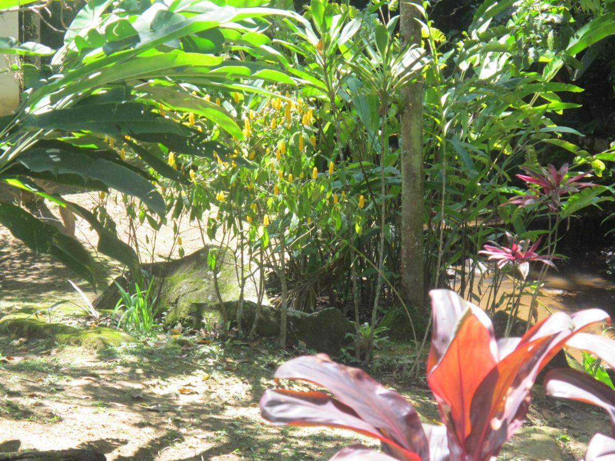 Janela Dos Meus Sonhos Villa Penedo  Luaran gambar