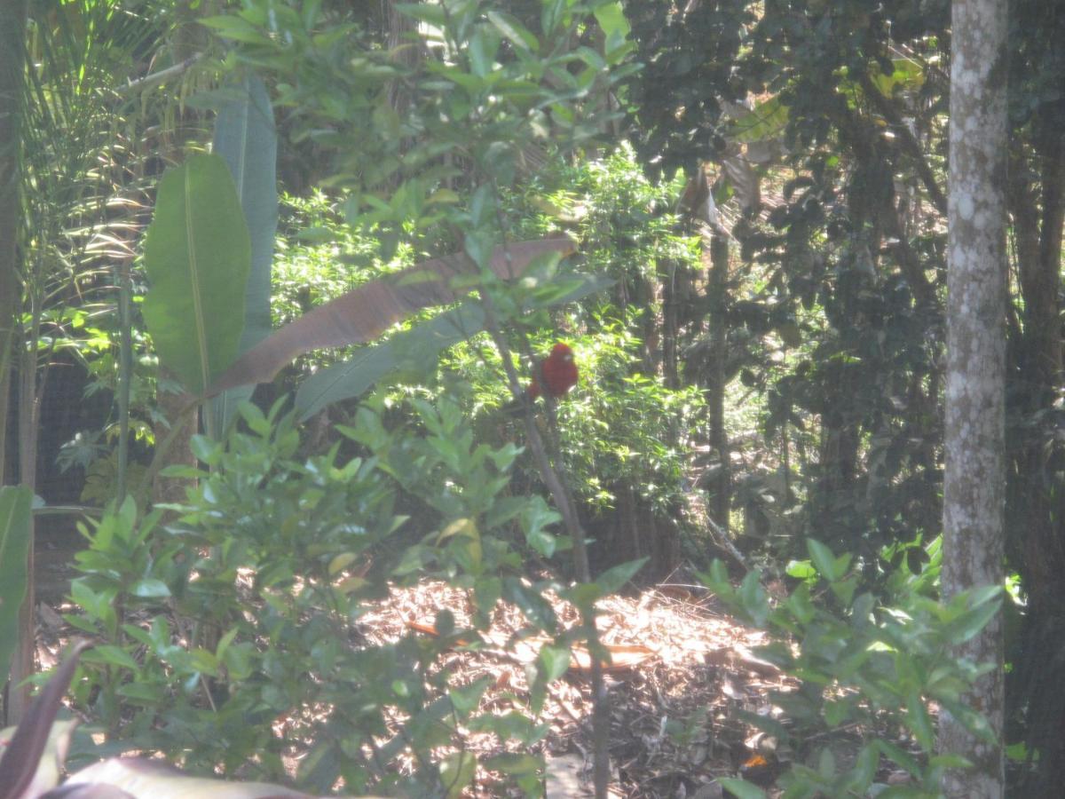 Janela Dos Meus Sonhos Villa Penedo  Luaran gambar