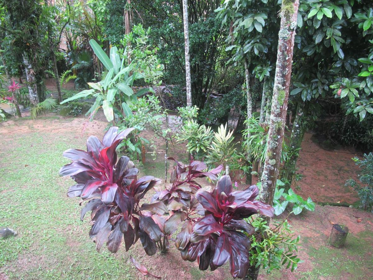 Janela Dos Meus Sonhos Villa Penedo  Luaran gambar