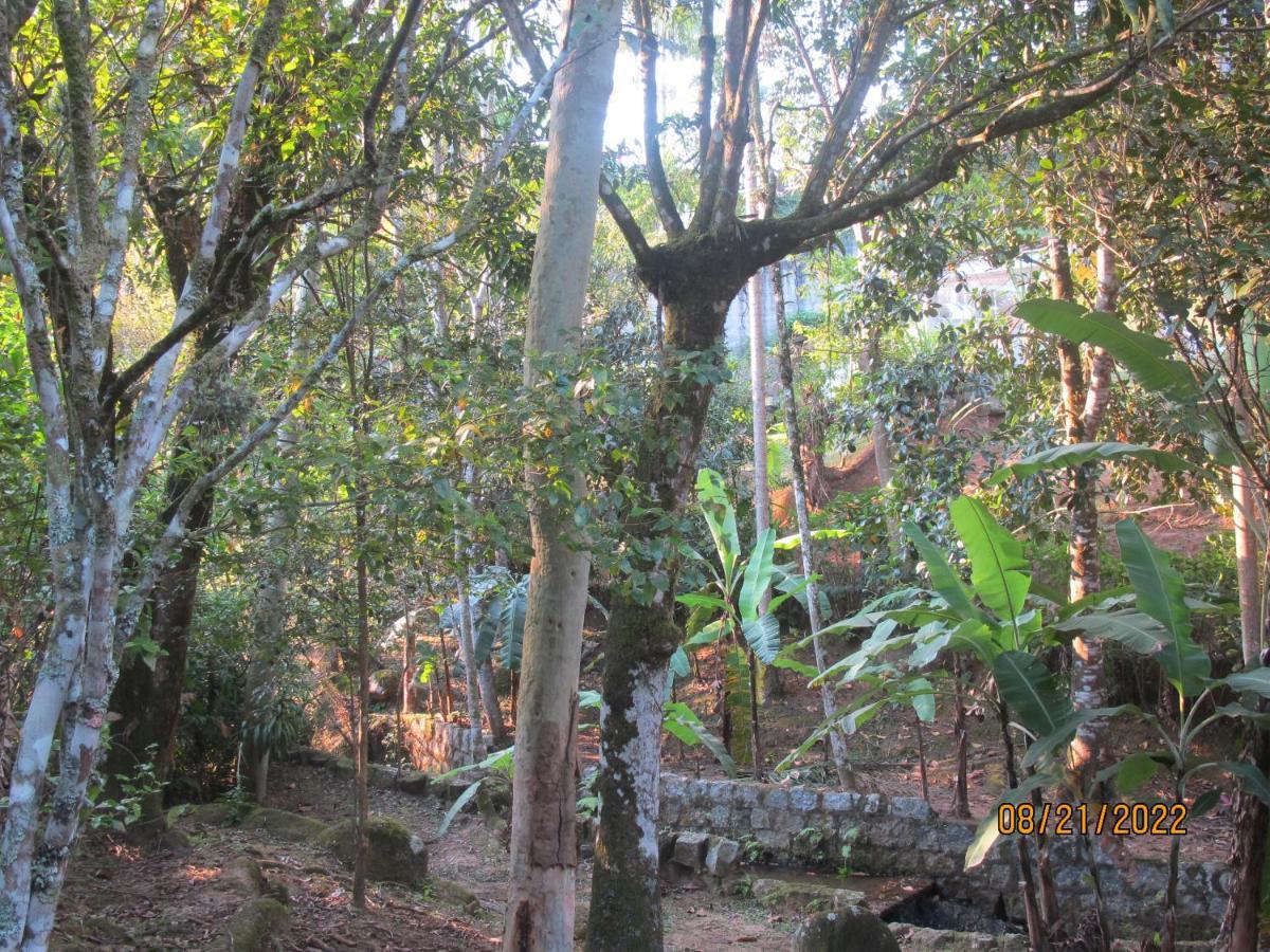 Janela Dos Meus Sonhos Villa Penedo  Luaran gambar