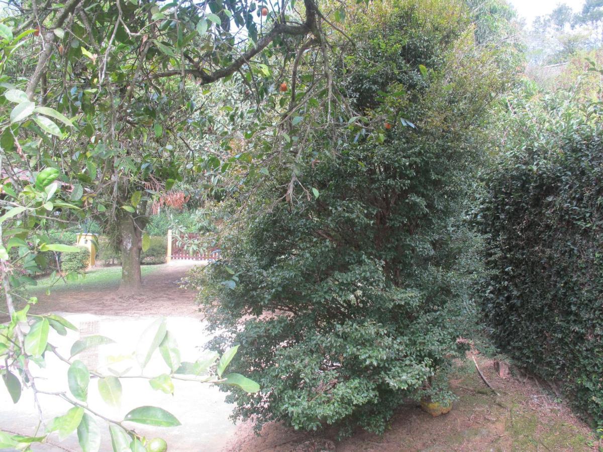 Janela Dos Meus Sonhos Villa Penedo  Luaran gambar